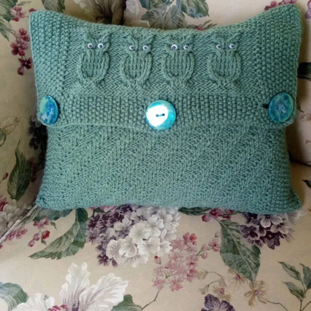 Hand Crafted Pillow Knit Sage Green Owl Googly Eye Hand Painted Button H…